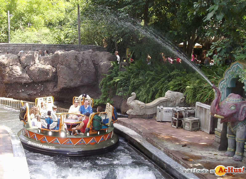 Imagen de Disney´s Animal Kingdom  Kali River Rapids 2